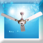 Galaxy Golden - Off White