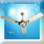 Galaxy Golden - Off White